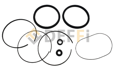 1695.041.231-810-Kit joint poumon detalonneur
Equivaut à la référence 1695041231
Peut etre remplacé par 46MB200882