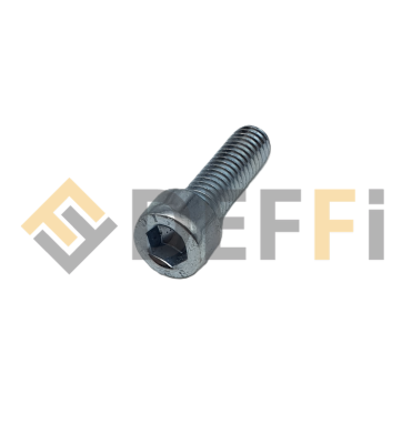 206021-Vis tchc nfe 25-125 m6x20 zn