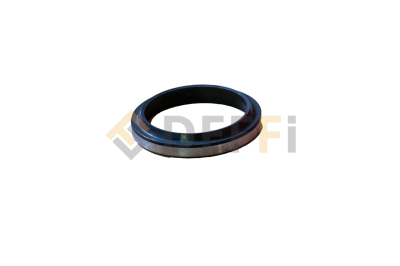 9252435-Racleur AS48x60x7/10