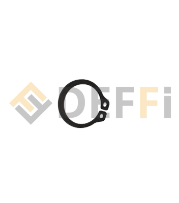 OMCAABQ000155-ANELLO SEEGER EST.20