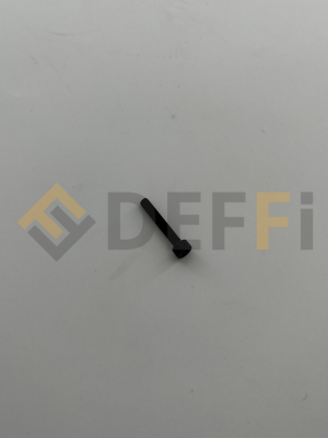 1695.020.201-810-Vis
Equivaut à la référence 1695020201