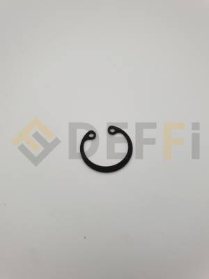 242010-Seeger int.20 7437