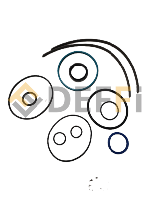 42855K-Kit joints vérin maître